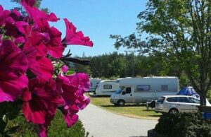 FirstCamp Bø